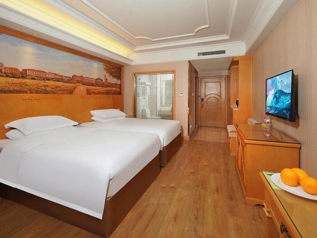 Vienna International Hotel Lhasa Potala Palace Экстерьер фото
