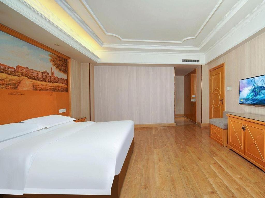 Vienna International Hotel Lhasa Potala Palace Экстерьер фото