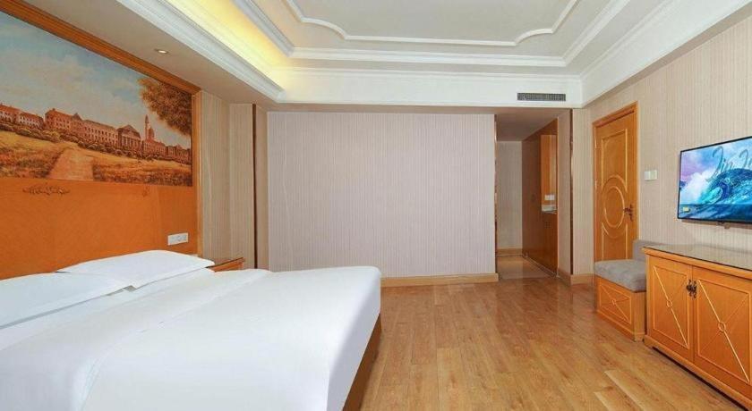 Vienna International Hotel Lhasa Potala Palace Экстерьер фото